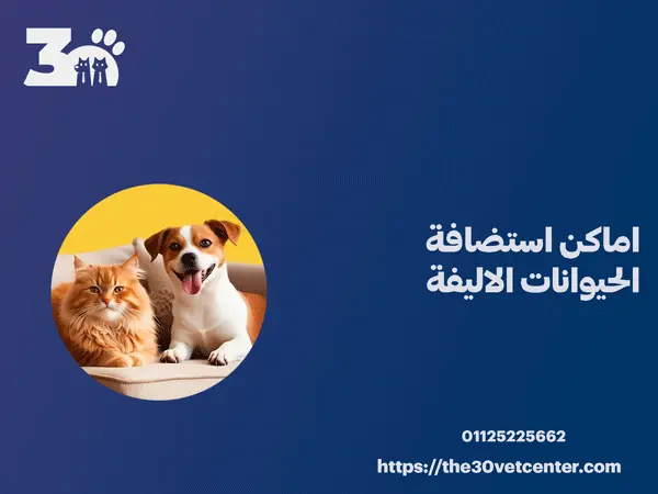 اماكن استضافة الحيوانات الاليفة