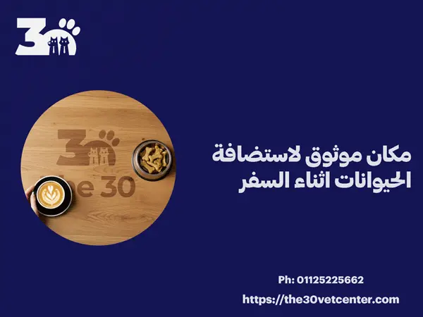 مكان موثوق لاستضافة الحيوانات اثناء السفر