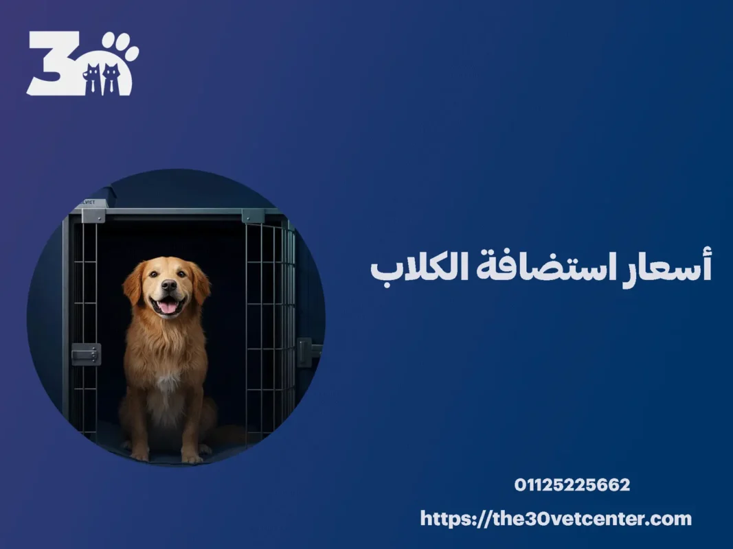 أسعار استضافة الكلاب