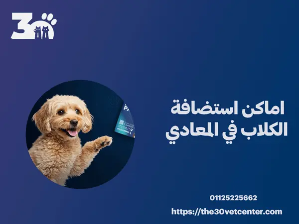اماكن استضافة الكلاب في المعادي