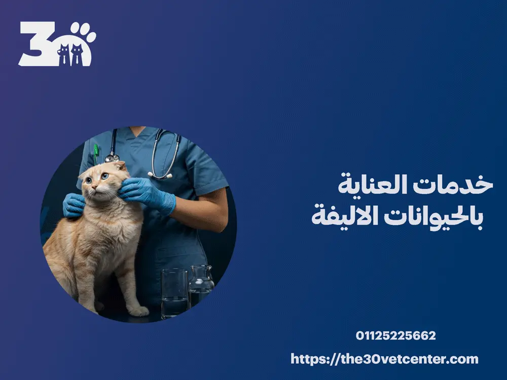 خدمات العناية بالحيوانات الاليفة