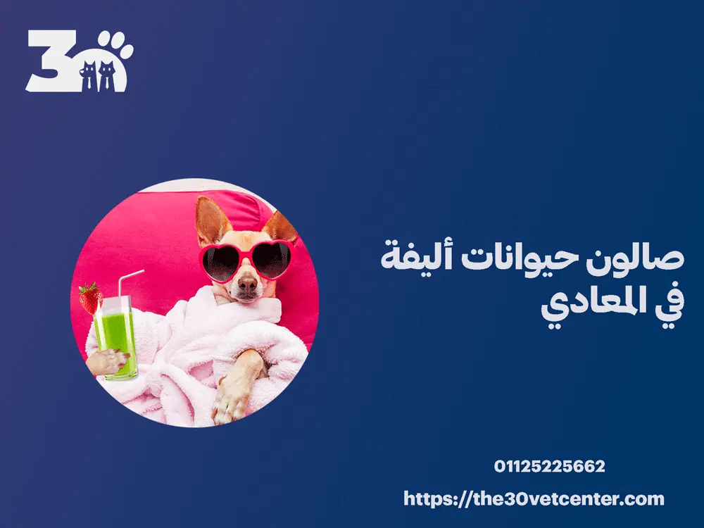 صالون حيوانات أليفة في المعادي