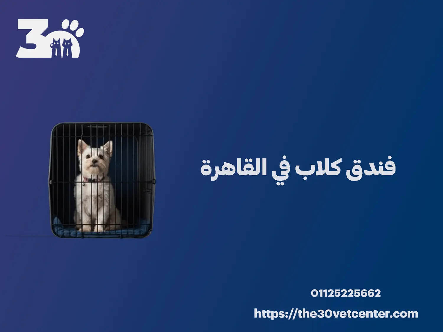 فندق كلاب في القاهرة