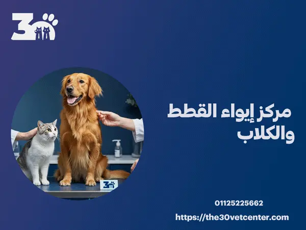 مركز إيواء القطط والكلاب