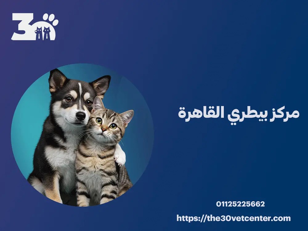 مركز بيطري القاهرة