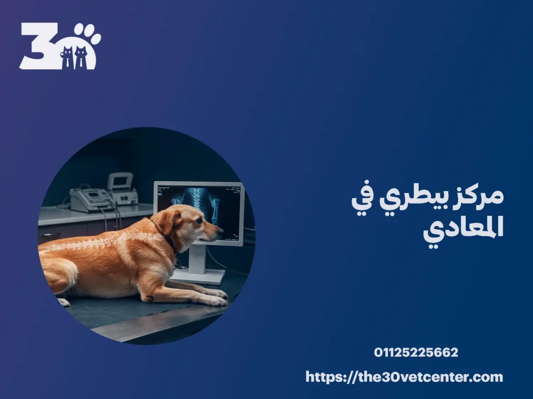 مركز بيطري في المعادي
