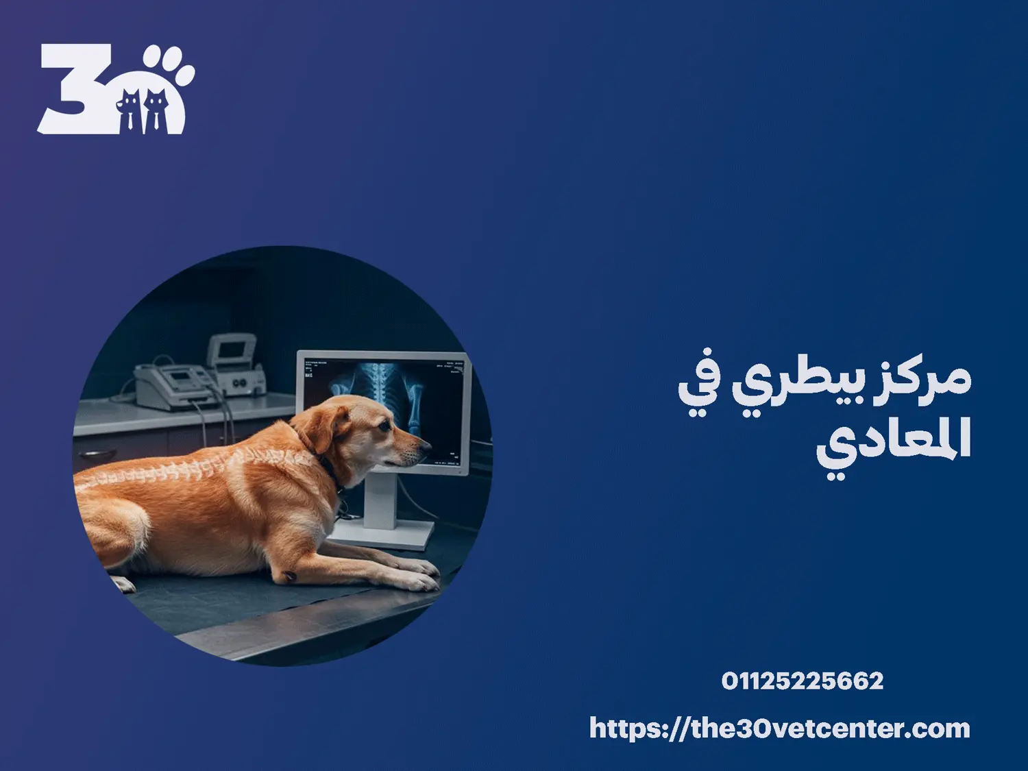 مركز بيطري في المعادي