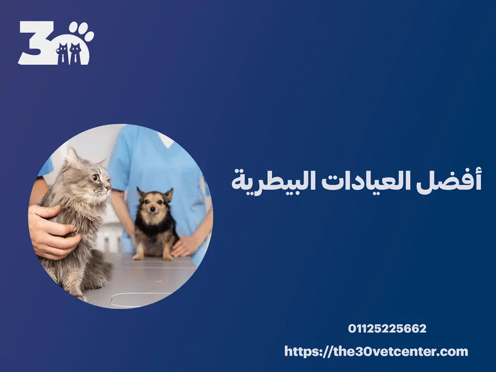 أفضل العيادات البيطرية