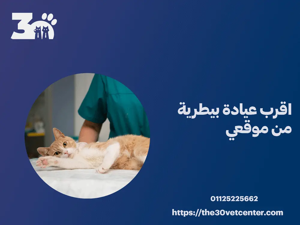 اقرب عيادة بيطرية من موقعي