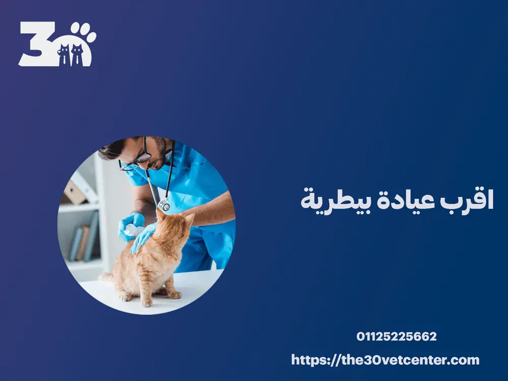 اقرب عيادة بيطرية