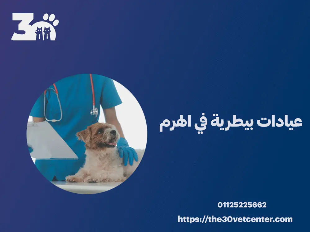 عيادات بيطرية في الهرم