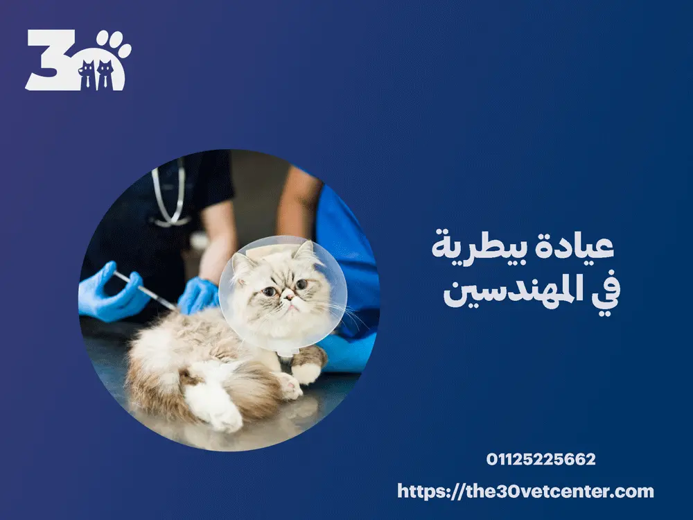 عيادة بيطرية في المهندسين