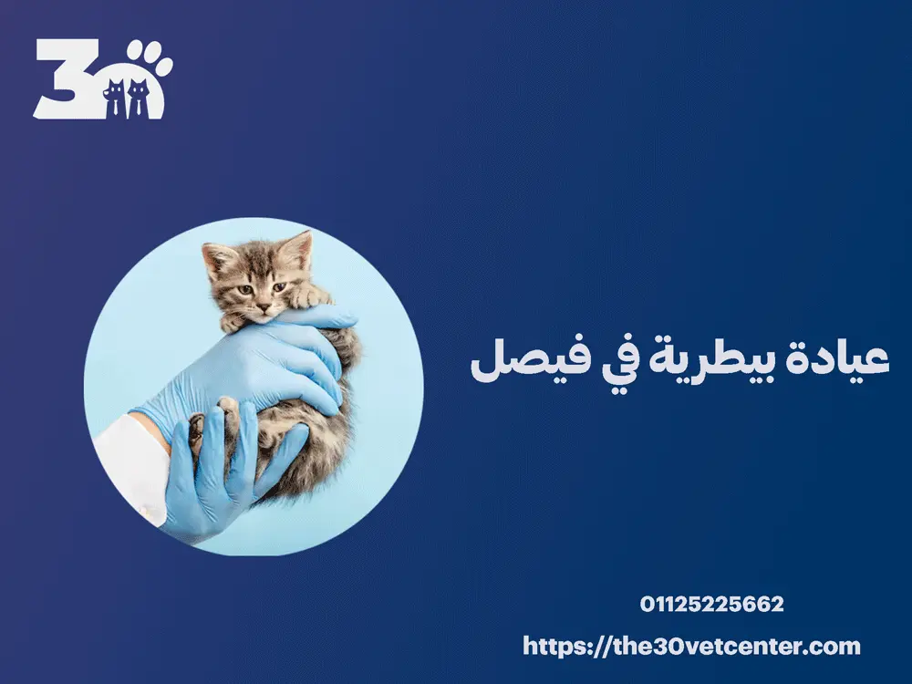 عيادة بيطرية في فيصل