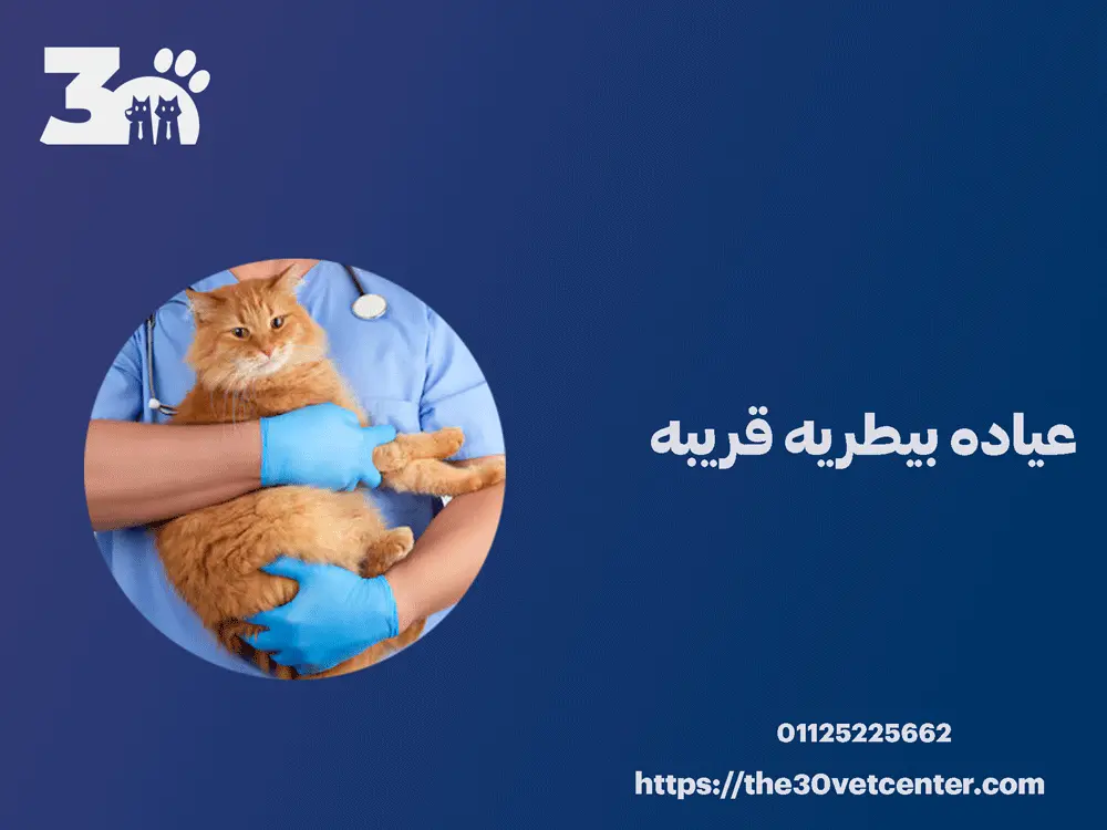 عياده بيطريه قريبه