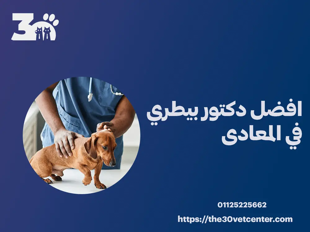 افضل دكتور بيطري في المعادى