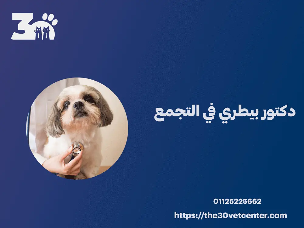دكتور بيطري في التجمع