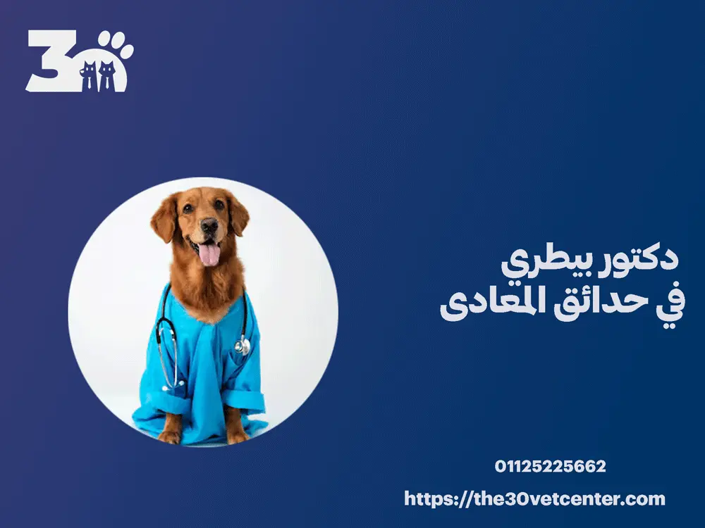 دكتور بيطري في حدائق المعادى