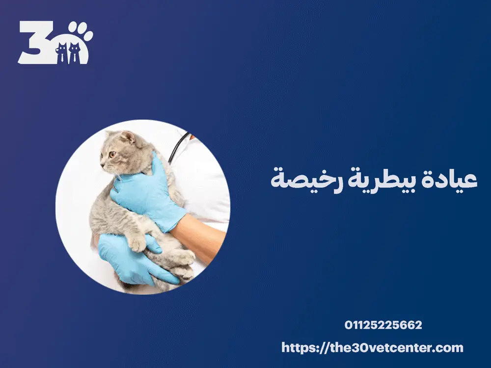 عيادة بيطرية رخيصة