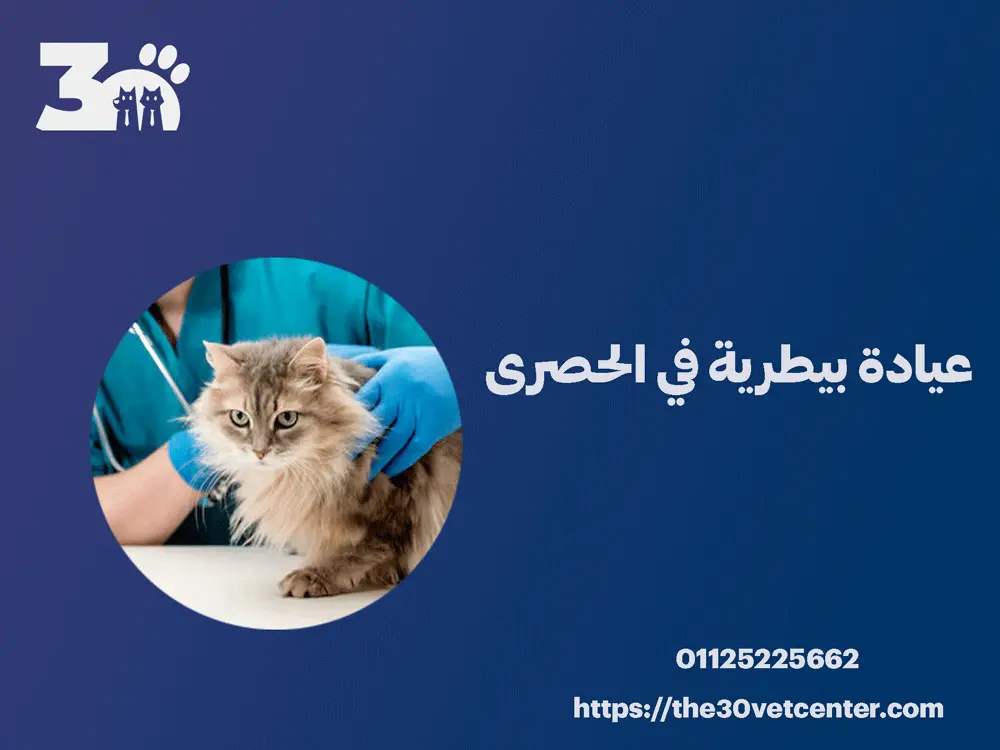 عيادة بيطرية في الحصرى