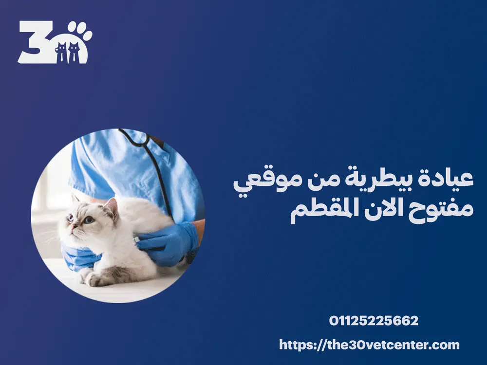 عيادة بيطرية من موقعي مفتوح الان المقطم