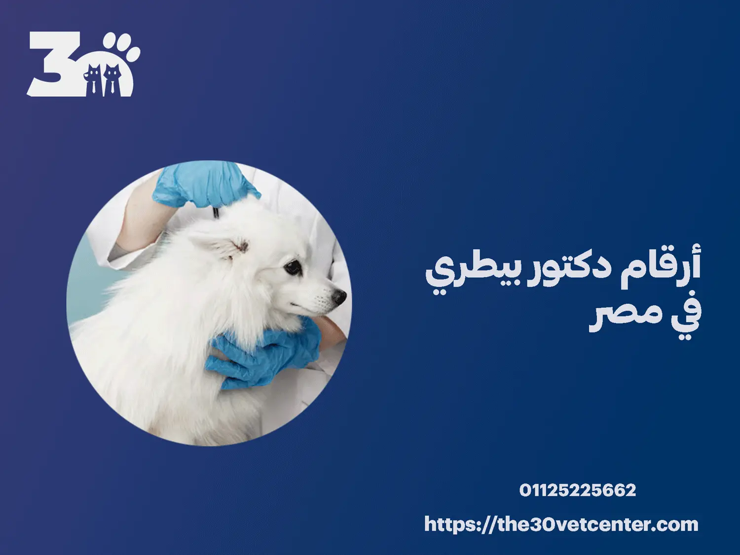 أرقام دكتور بيطري في مصر