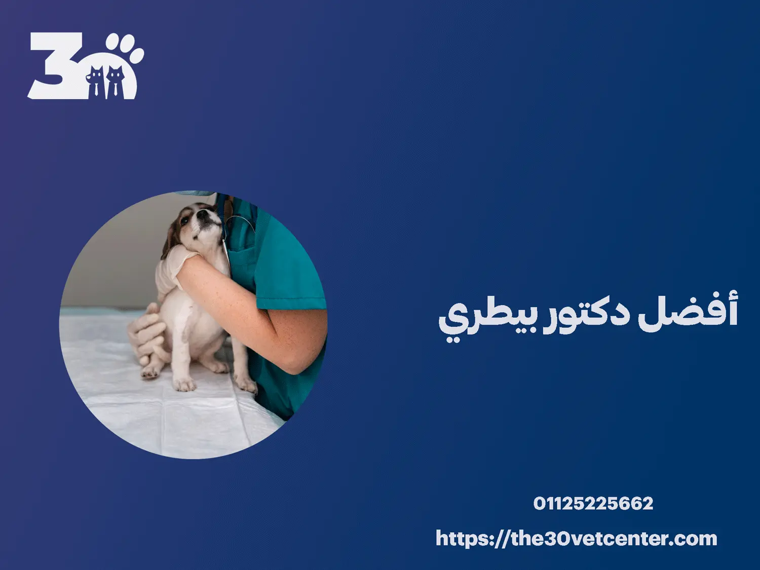 أفضل دكتور بيطري