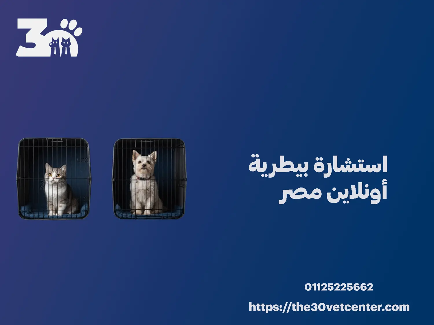 استشارة بيطرية أونلاين مصر