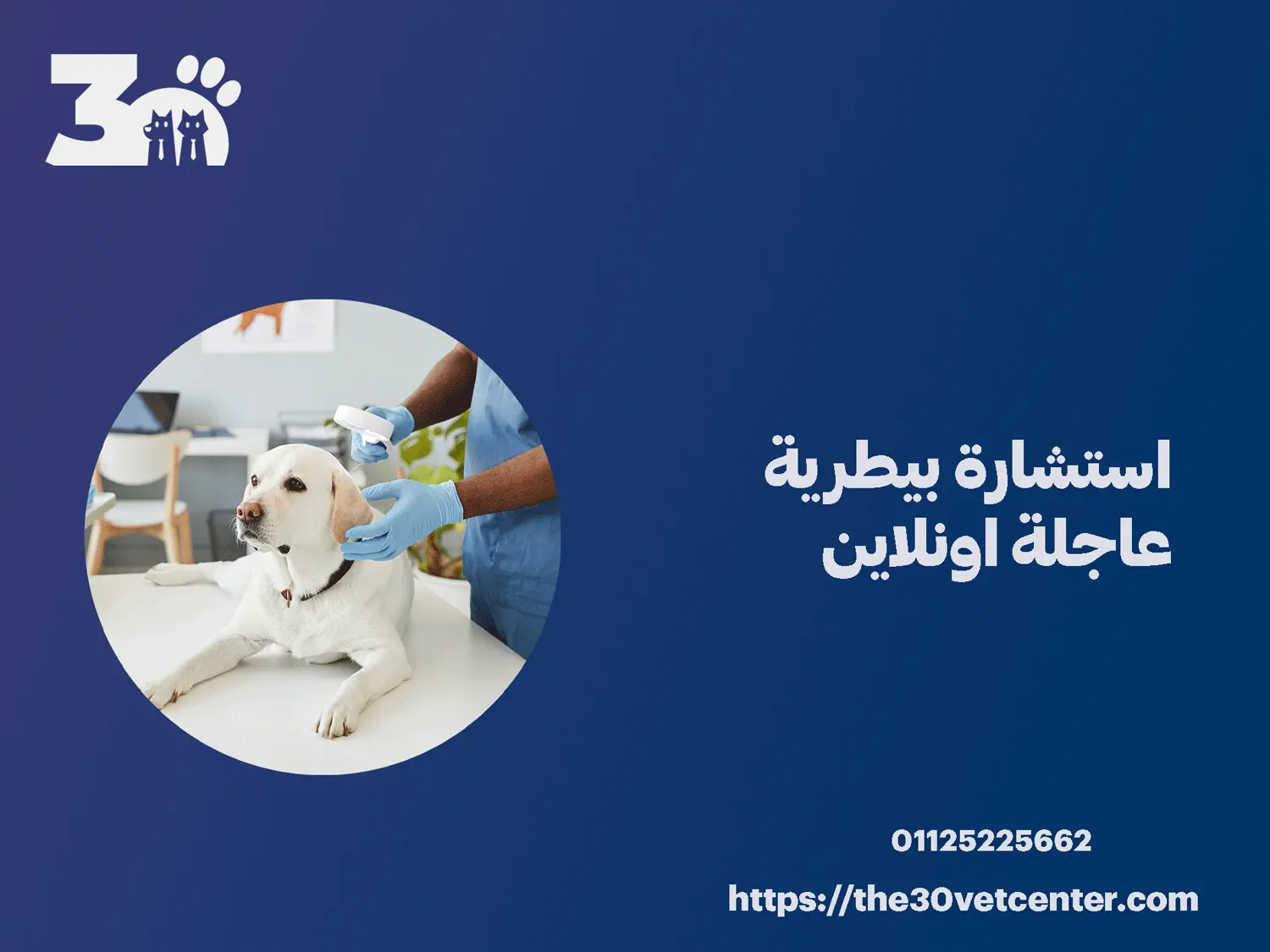 استشارة بيطرية عاجلة اونلاين