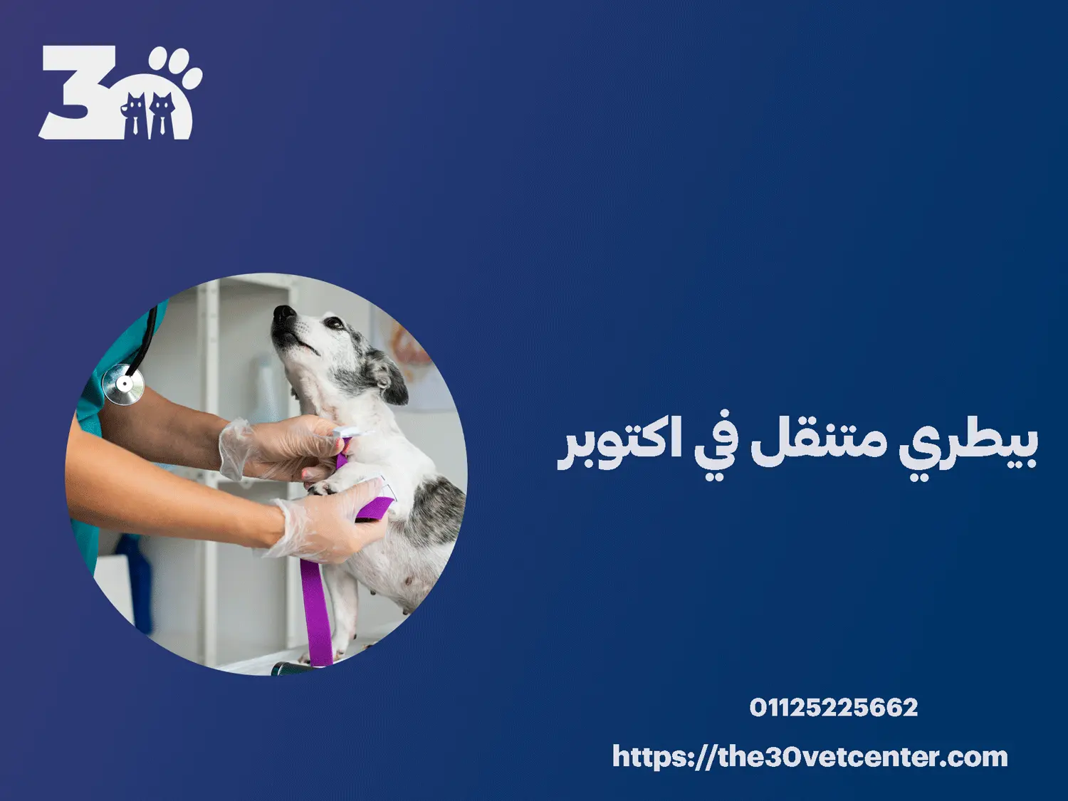 بيطري متنقل في اكتوبر