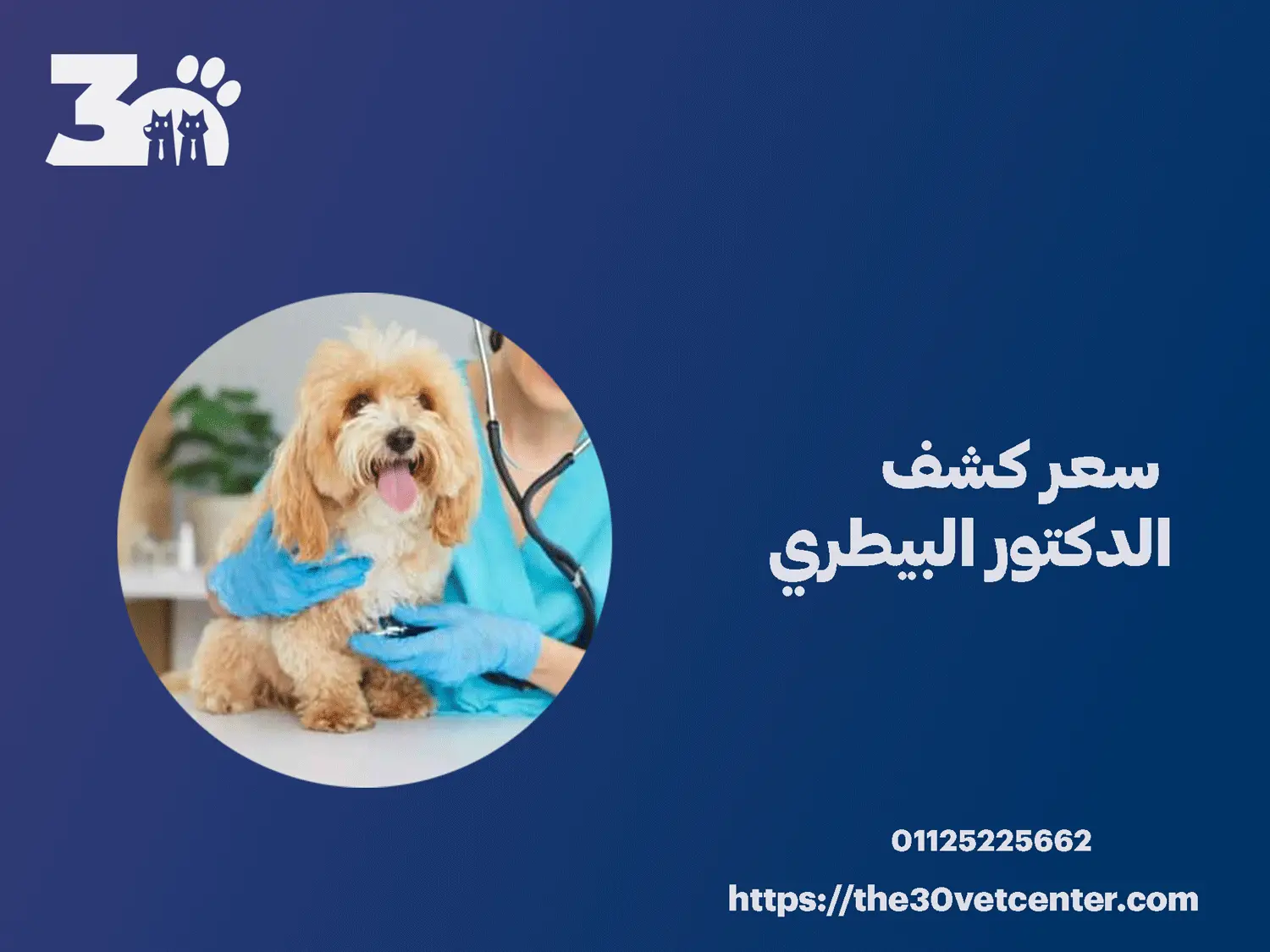 سعر كشف الدكتور البيطري