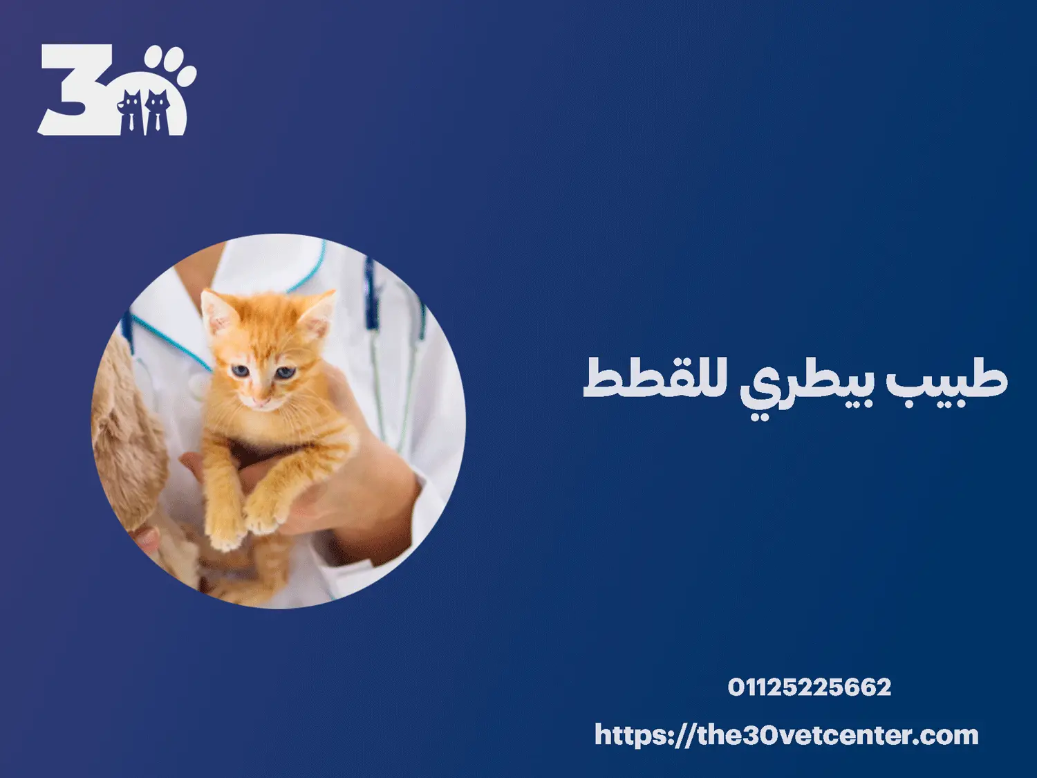 طبيب بيطري للقطط