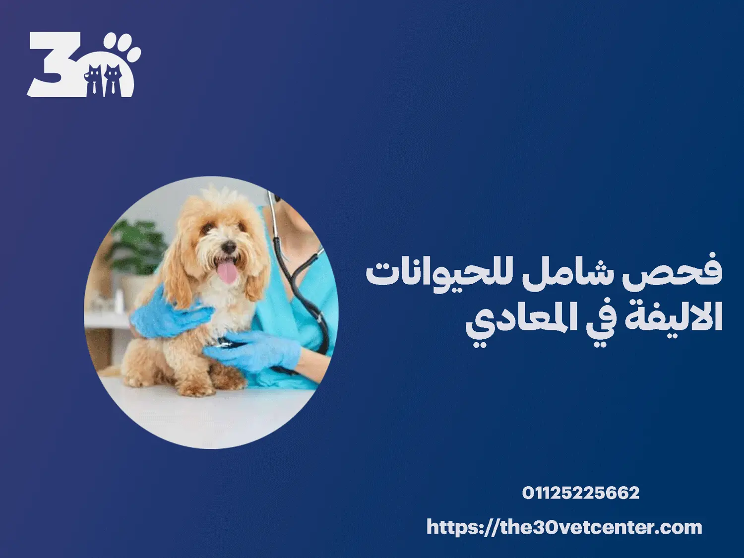 فحص شامل للحيوانات الاليفة في المعادي