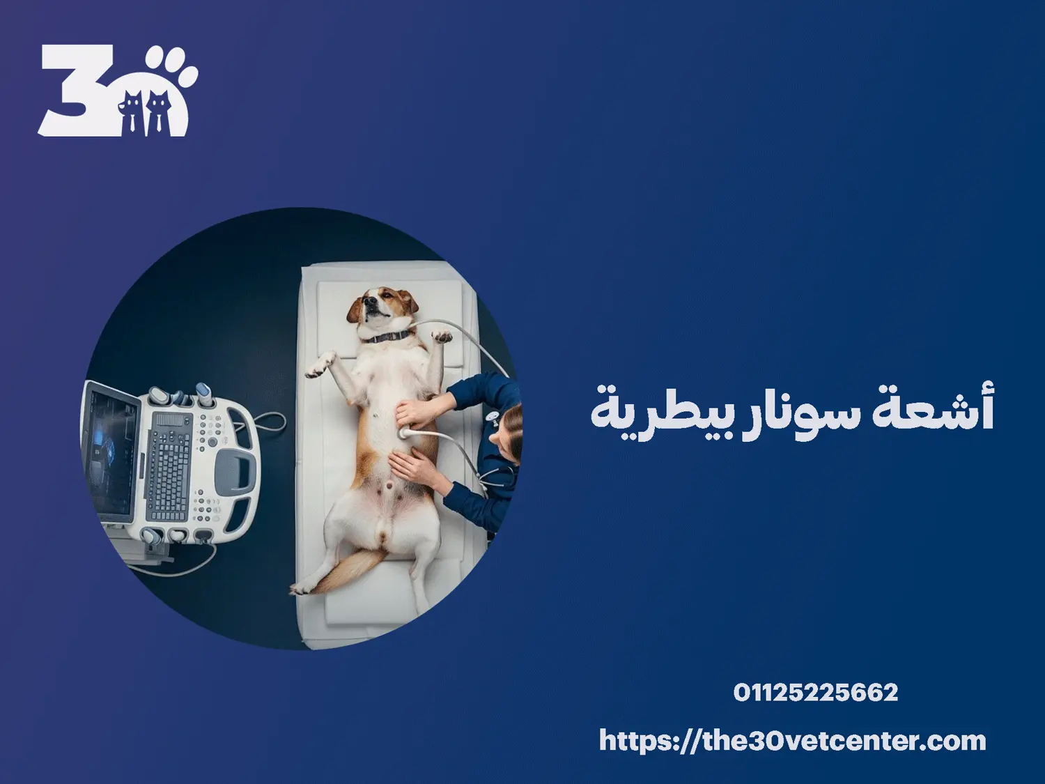 أشعة سونار بيطرية