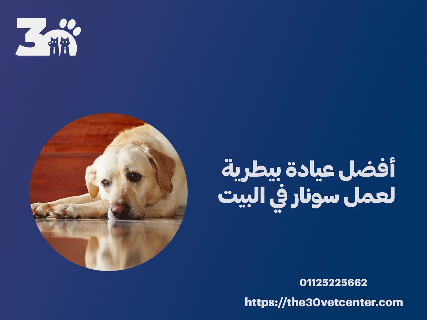 أفضل عيادة بيطرية لعمل سونار في البيت