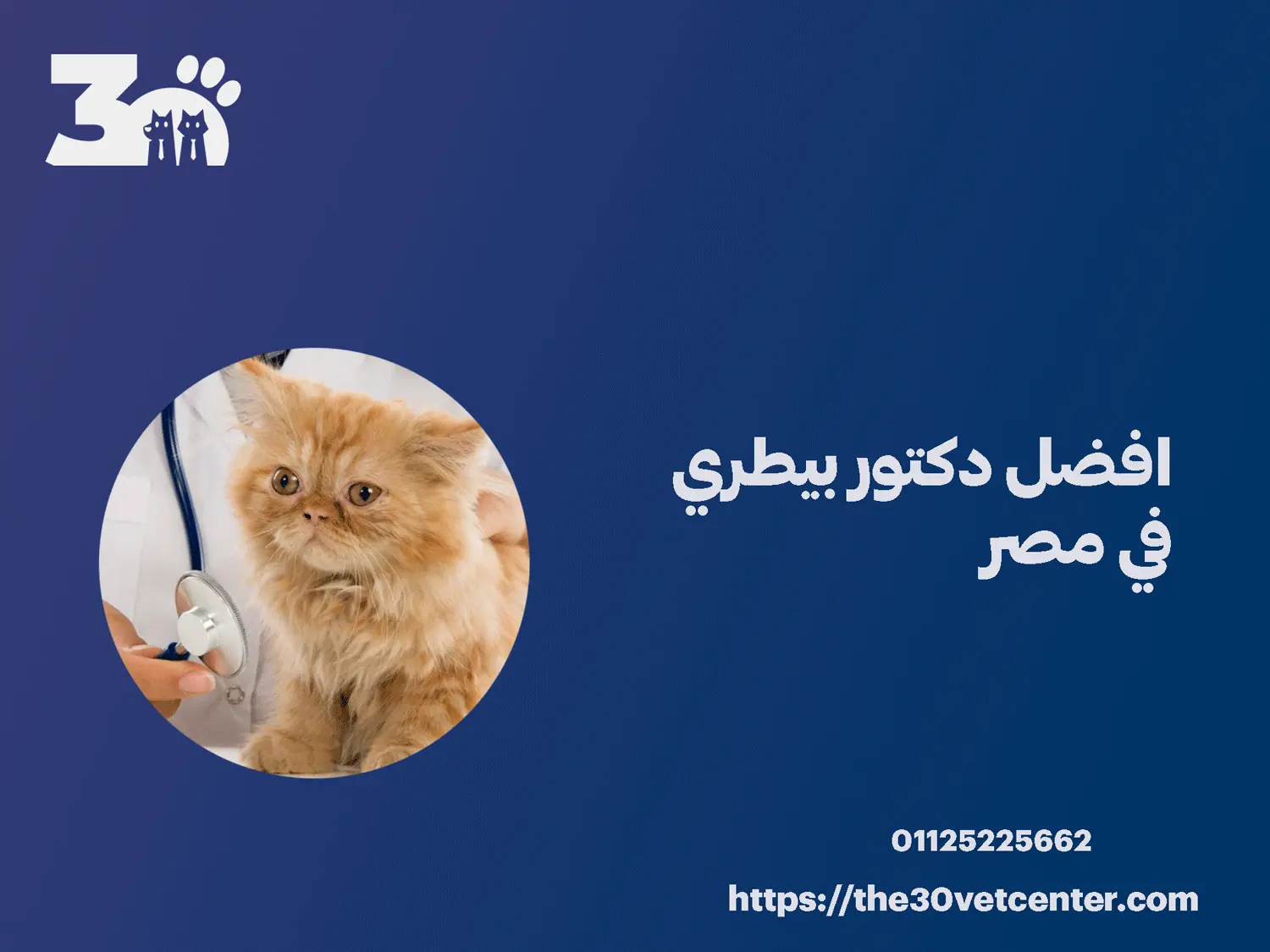 افضل دكتور بيطري في مصر