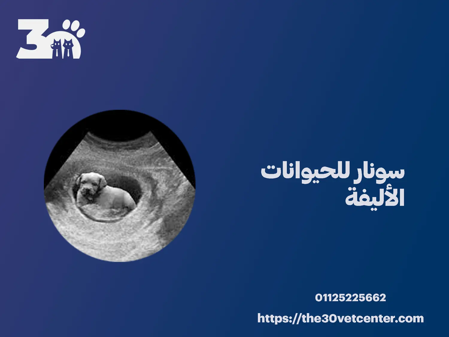 سونار للحيوانات الأليفة