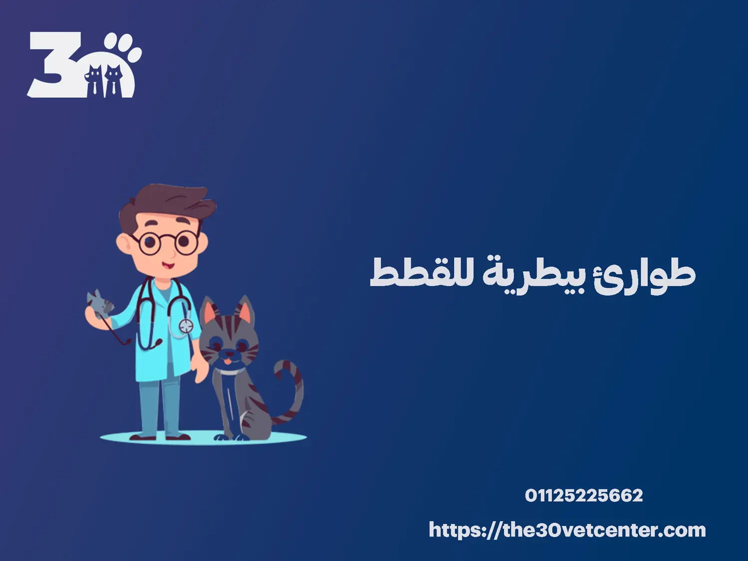 طوارئ بيطرية للقطط