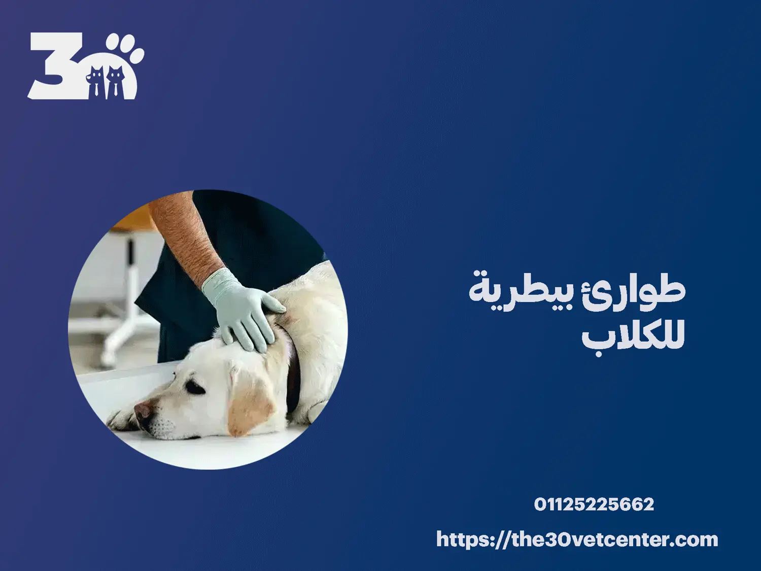 طوارئ بيطرية للكلاب