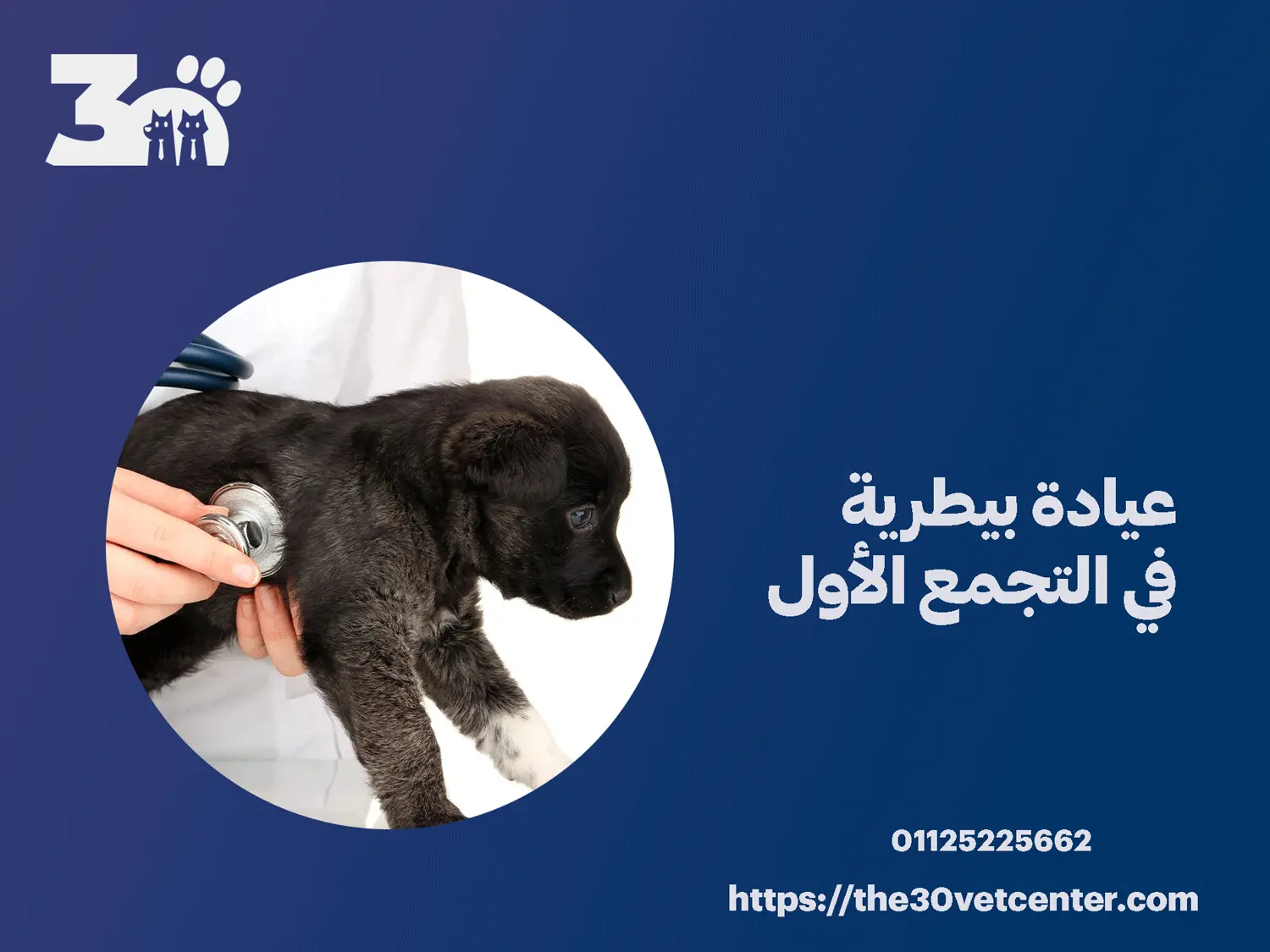 عيادة بيطرية في التجمع الأول