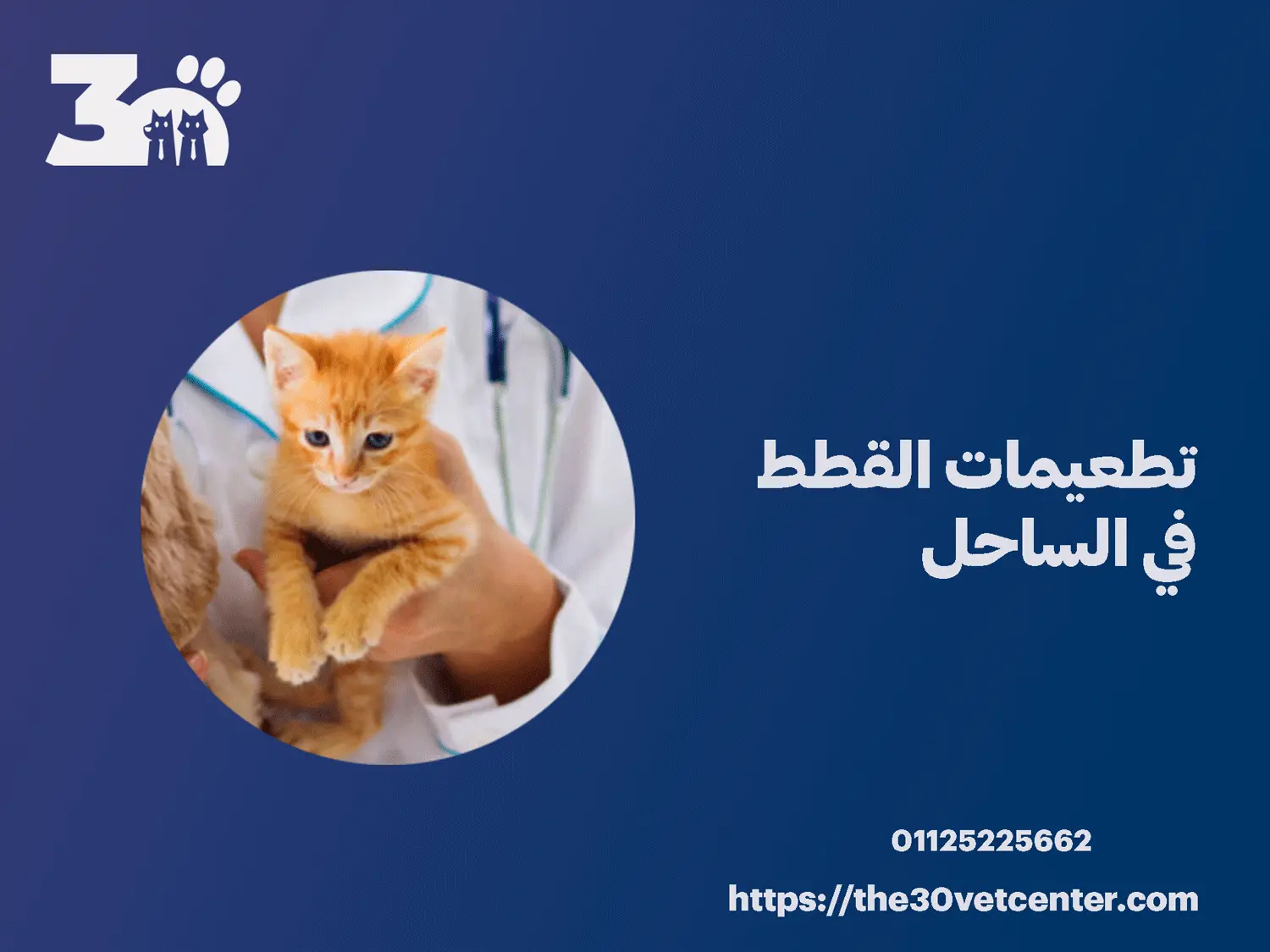 تطعيمات القطط في الساحل