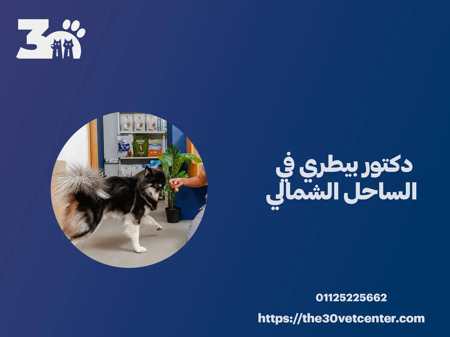 دكتور بيطري في الساحل الشمالي