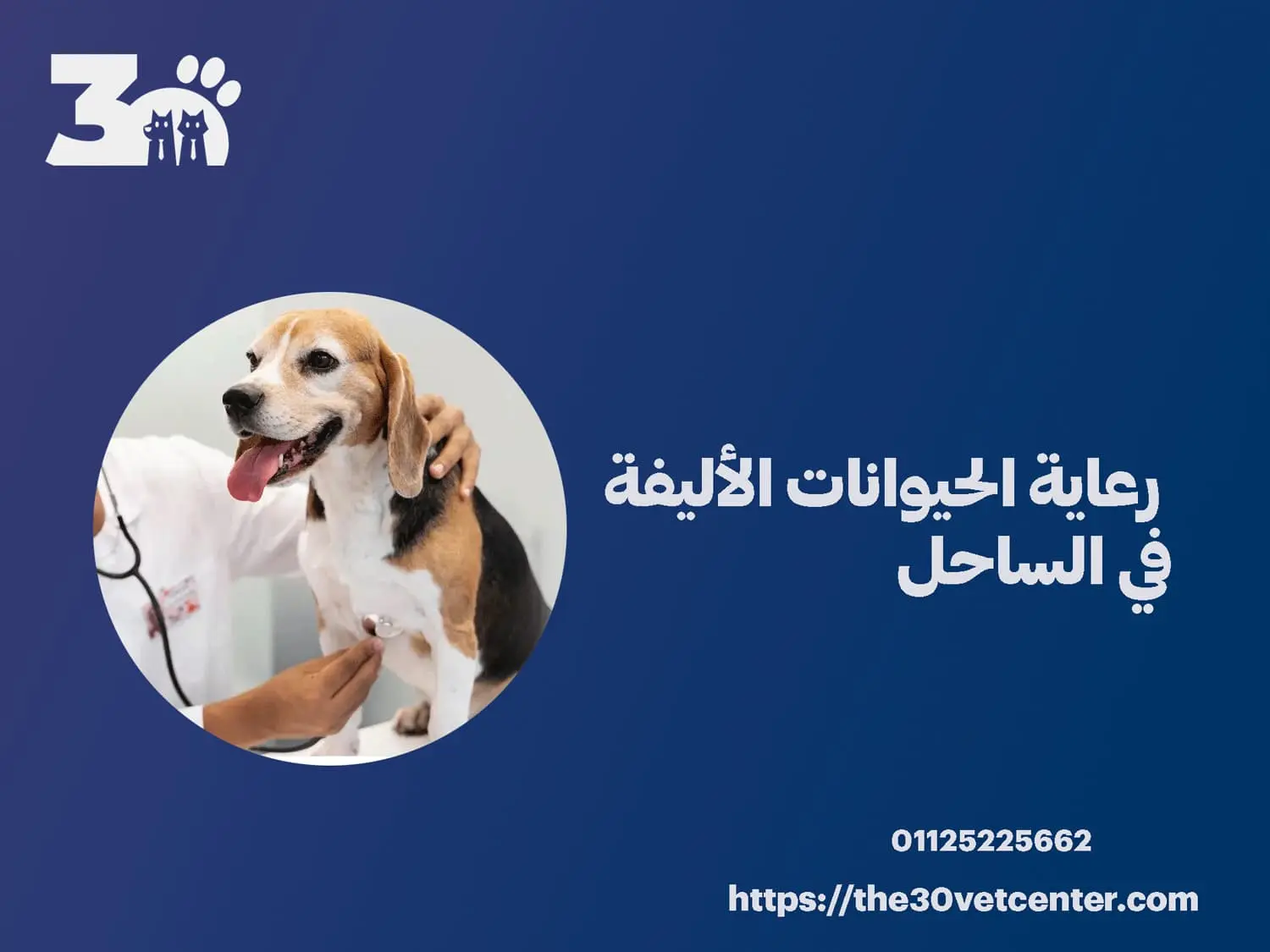 رعاية الحيوانات الأليفة في الساحل