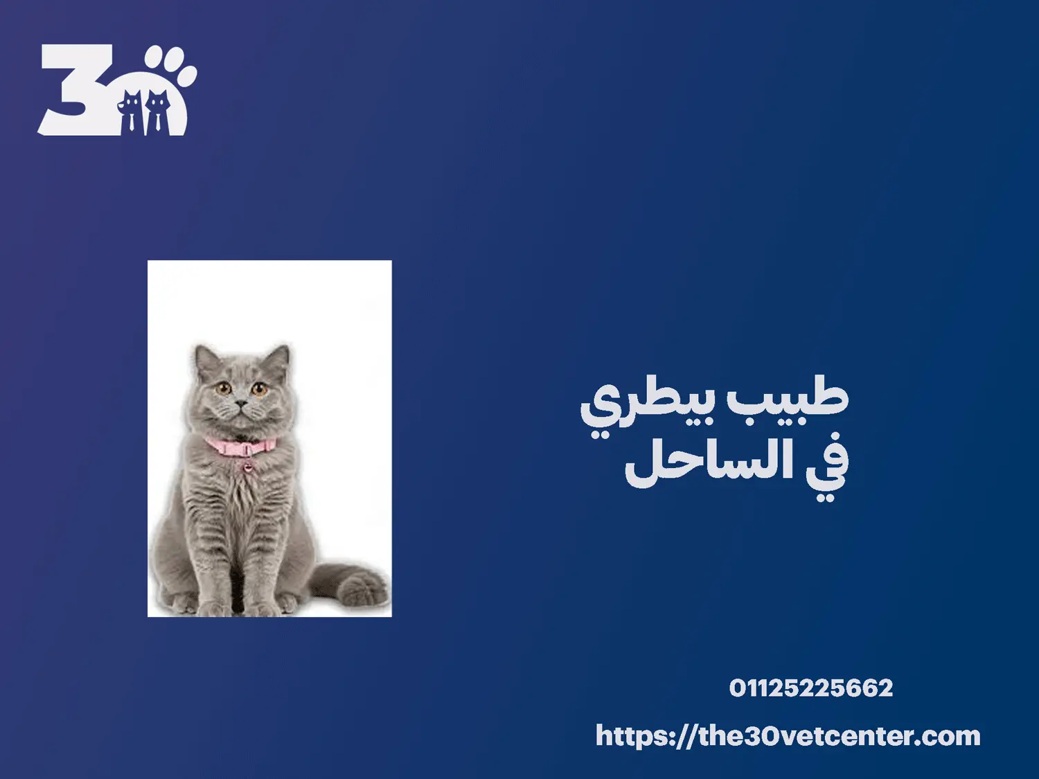 طبيب بيطري في الساحل