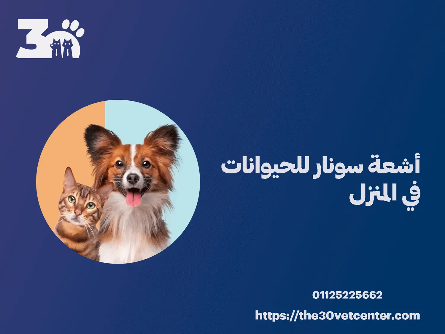 أشعة سونار للحيوانات في المنزل