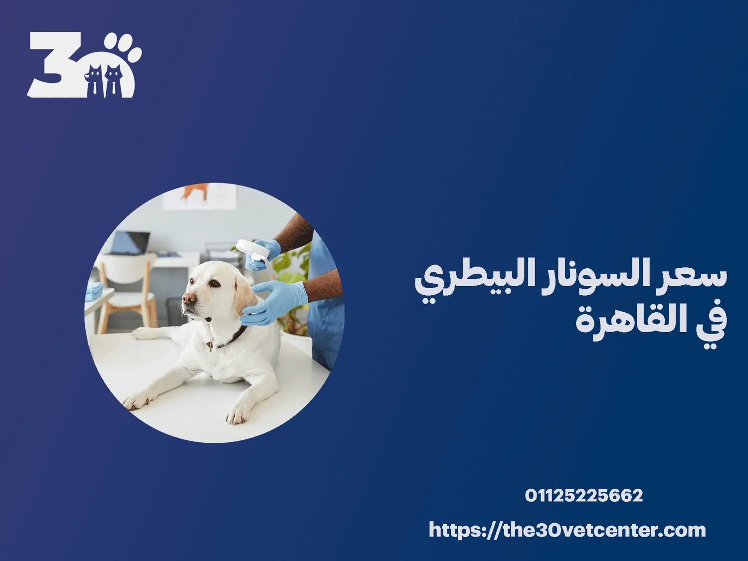 سعر السونار البيطري في القاهرة