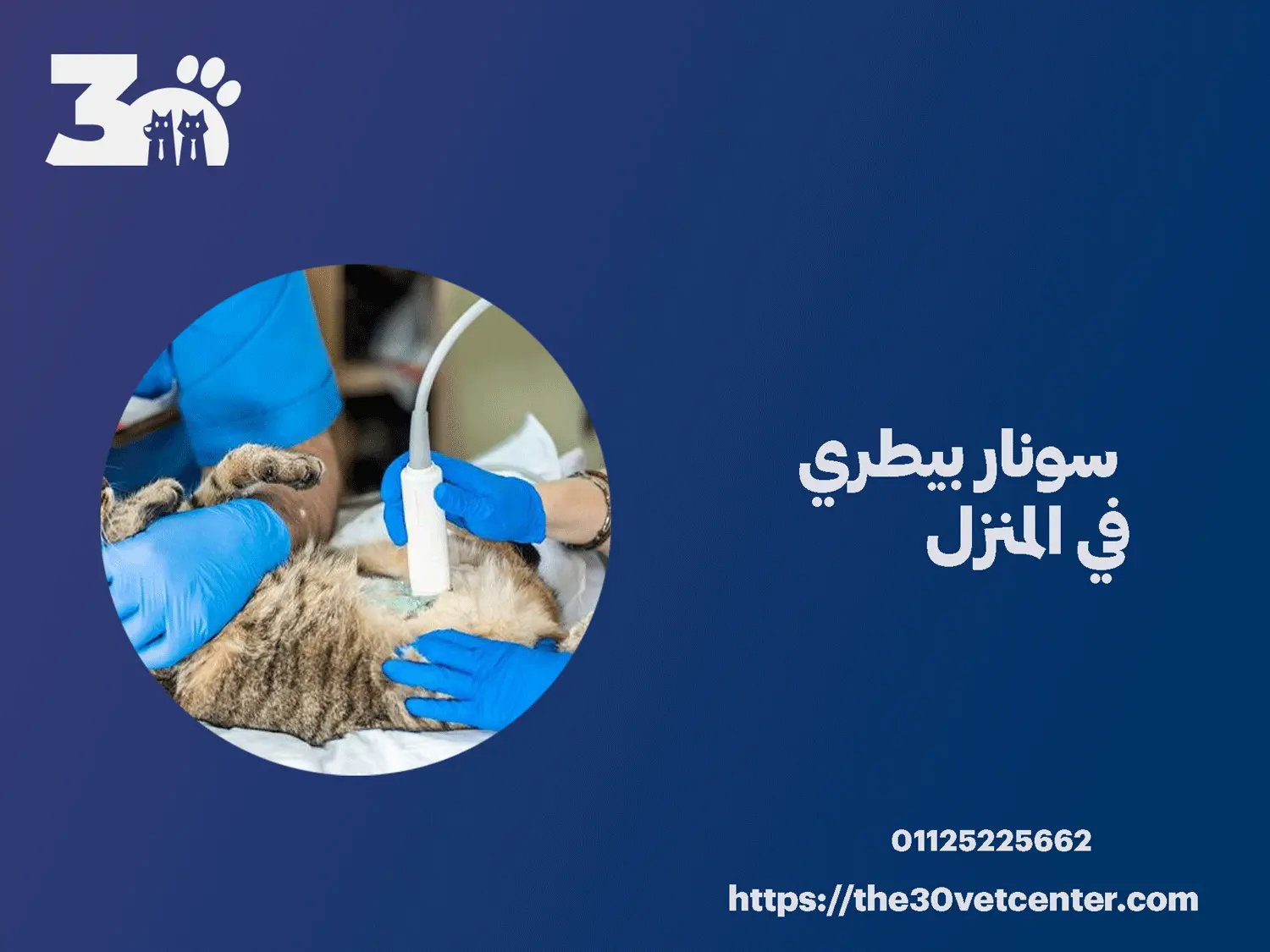 سونار بيطري في المنزل