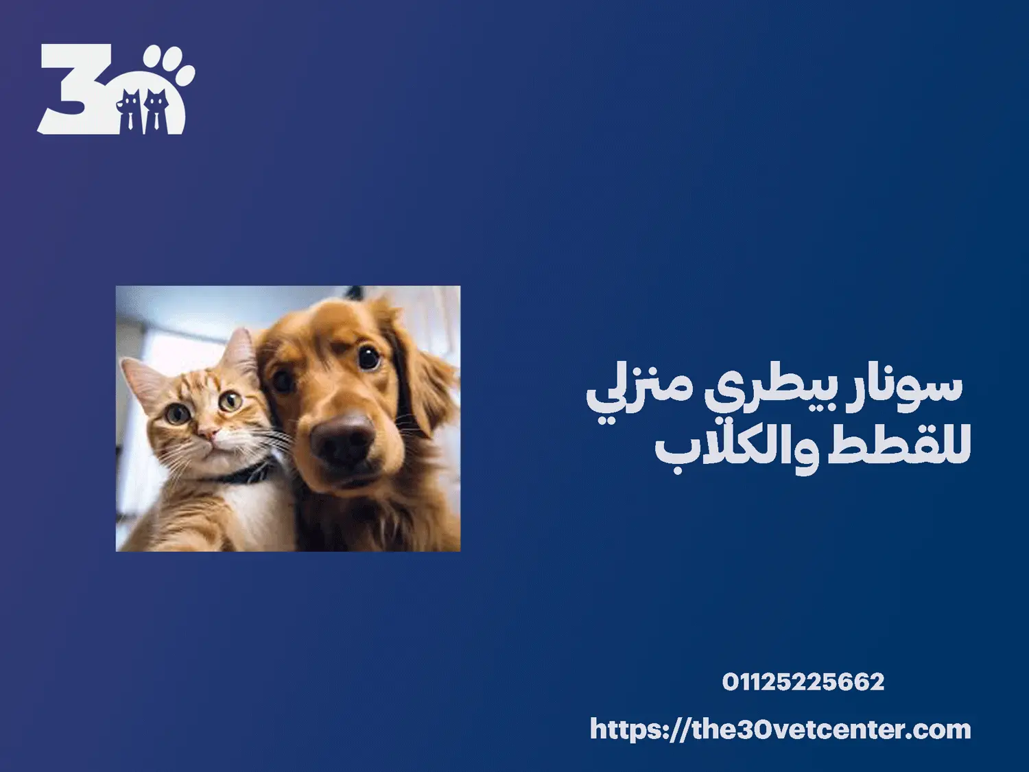 سونار بيطري منزلي للقطط والكلاب