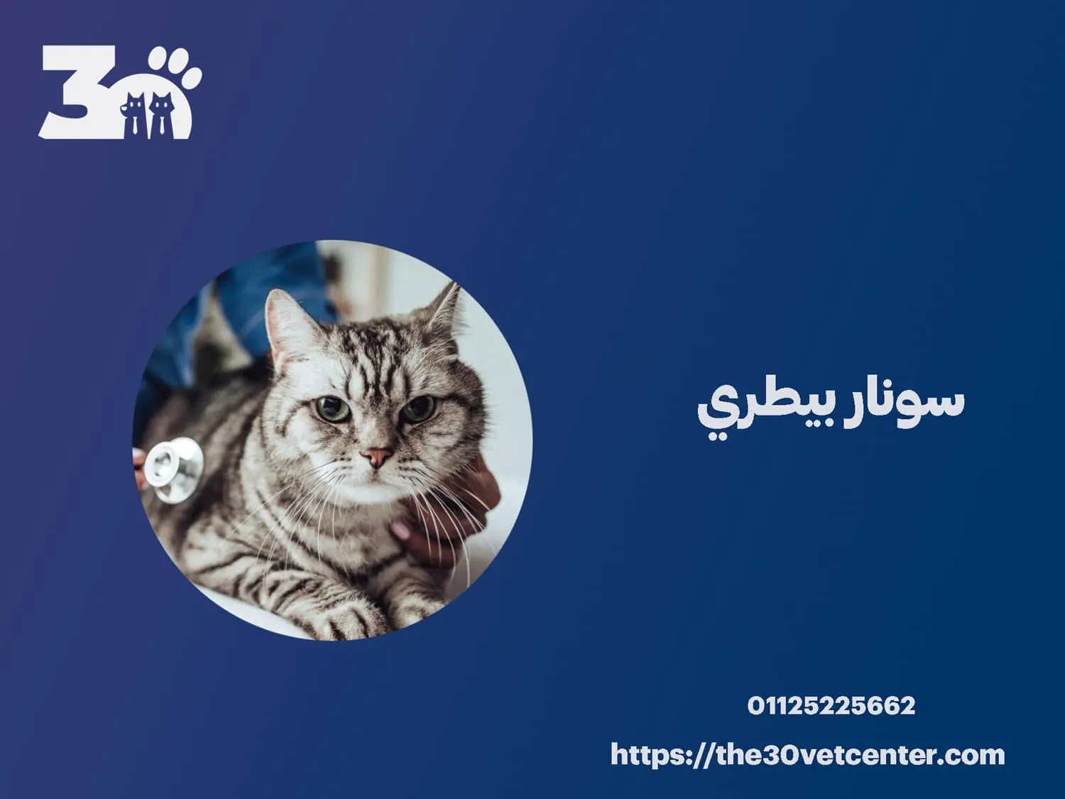 سونار بيطري