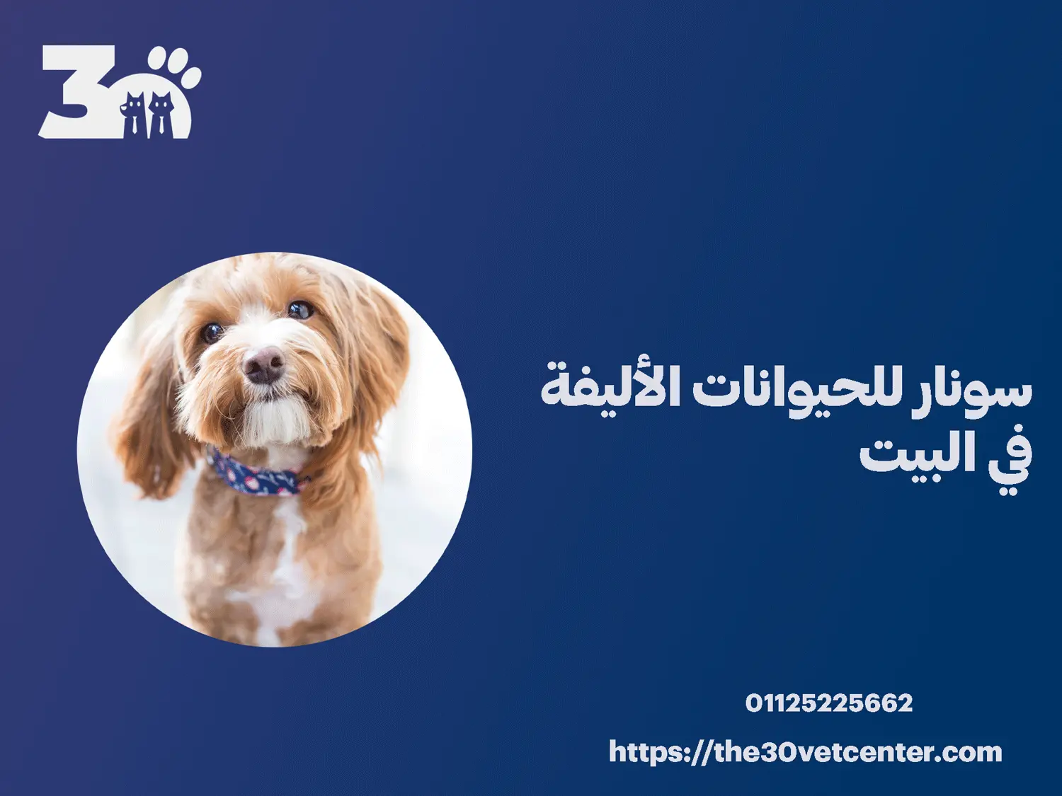 سونار للحيوانات الأليفة في البيت