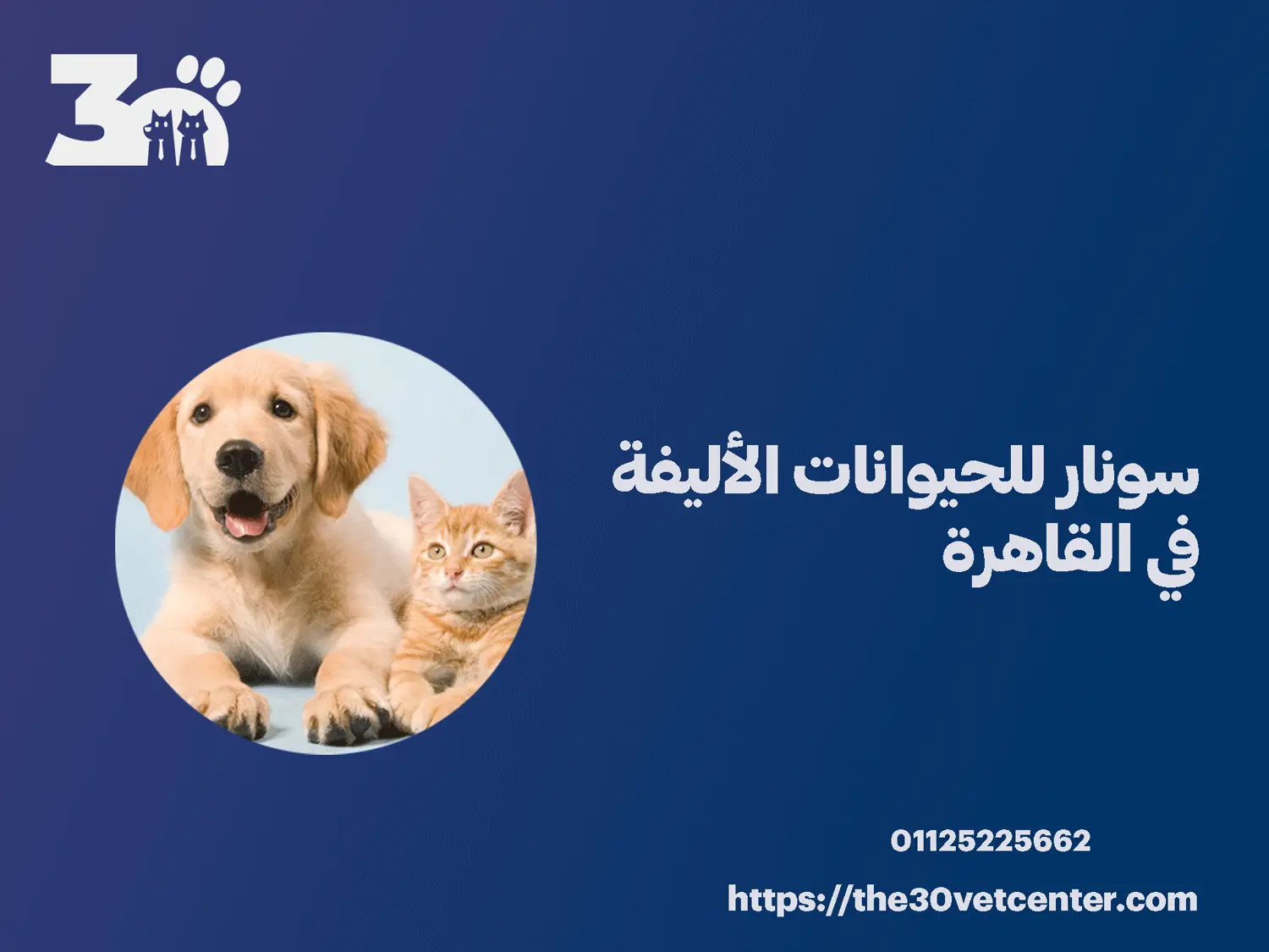 سونار للحيوانات الأليفة في القاهرة